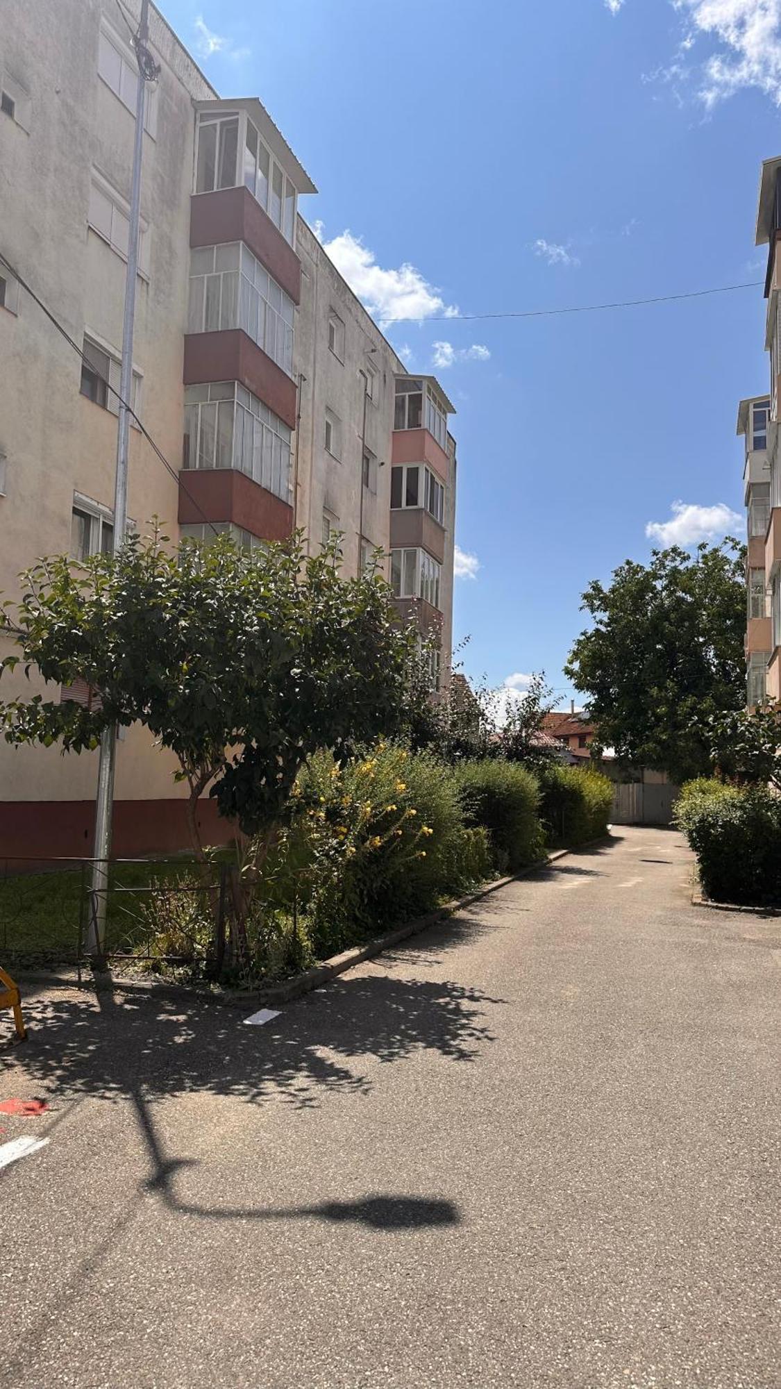 Apartament Dream House Făgăraş Zewnętrze zdjęcie